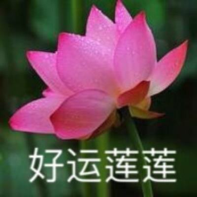 梦幻恋舞游戏官方下载